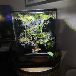 Bioactive Waterfall Paladarium 