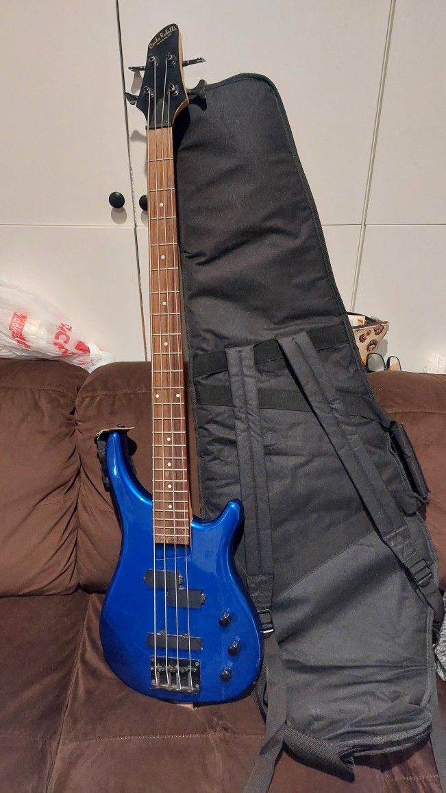 Bajo Electrico 4 Cuerdas 