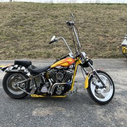 1999 Harley Davidson Softtail