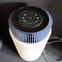 Coway Airmega 100 Used