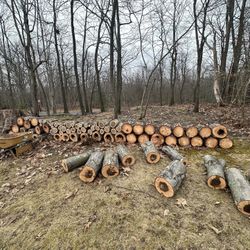  200$ Call (contact info removed)