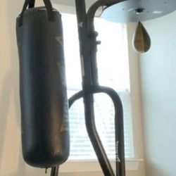 Everlast Boxing Setup 