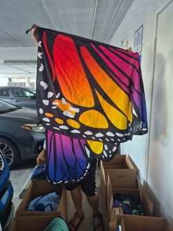 Butterfly costume