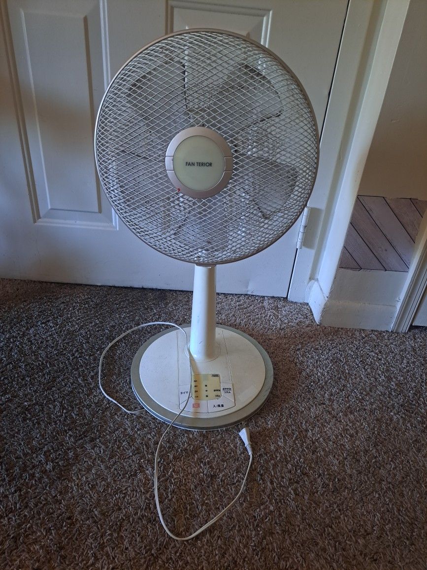 Oscillating Fan