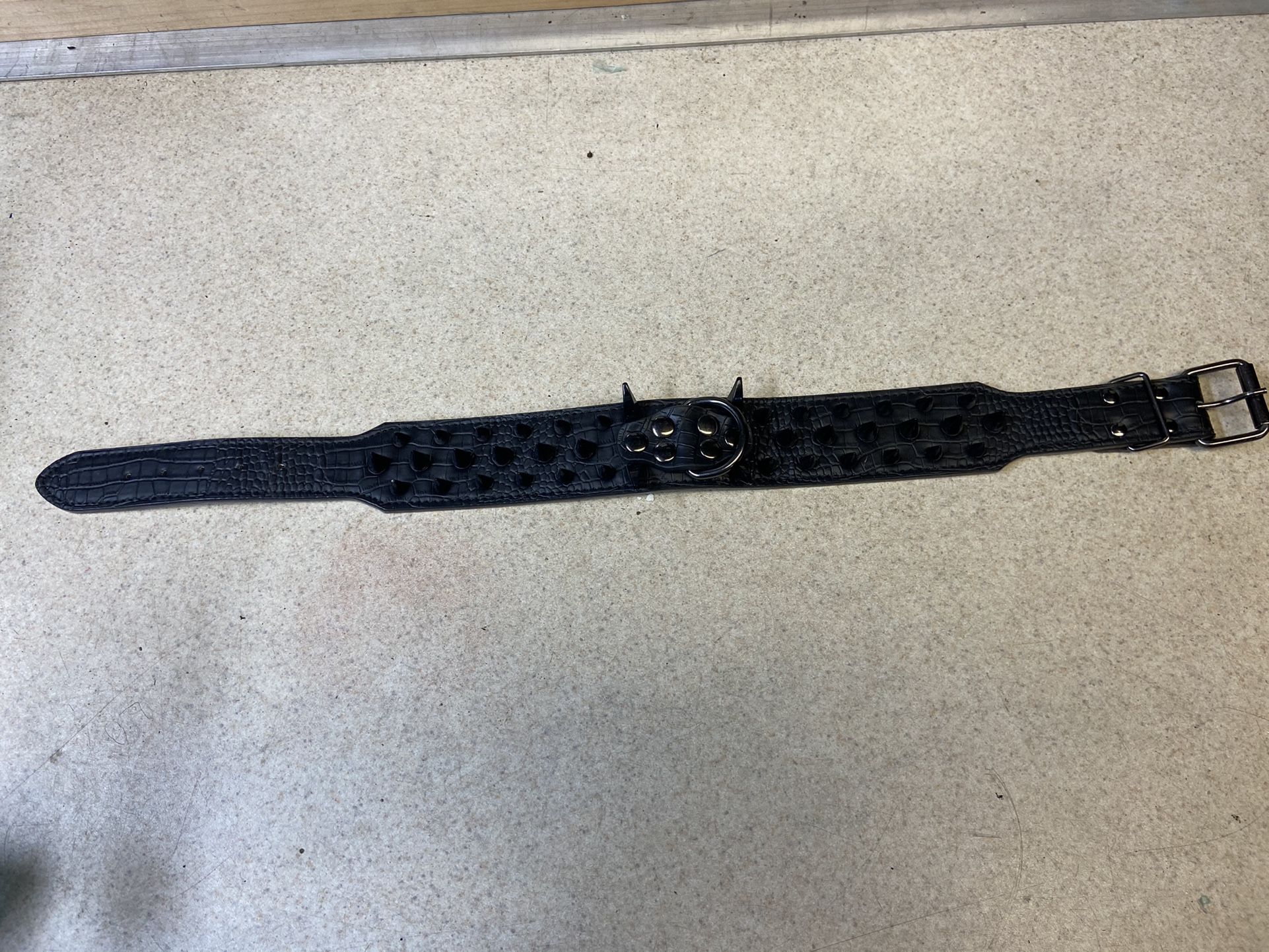Spiked Dog Collar