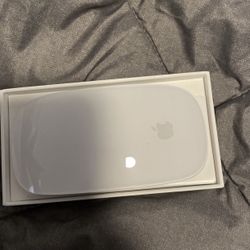 Apple Magic Mouse 