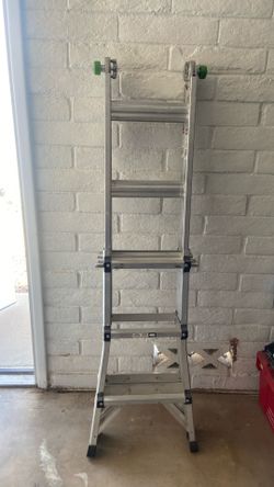 Multi Adjustable Ladder