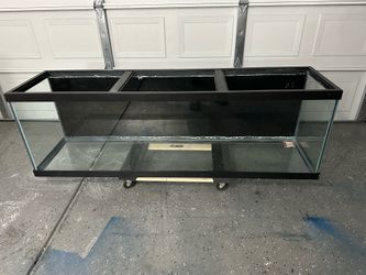 135 gallons fish tank