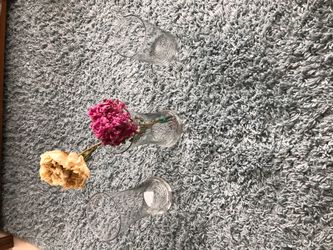 Three glass flower vases