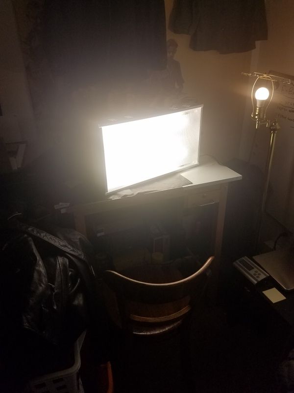 Worlds Best S A D Light Lamp Northern Lights North Star 10000 Northern Lights North Star 10000 Watts Daylight Seasonal Affective Disorder Mood Lamp Light Home Garden In Tacoma Wa Offerup
