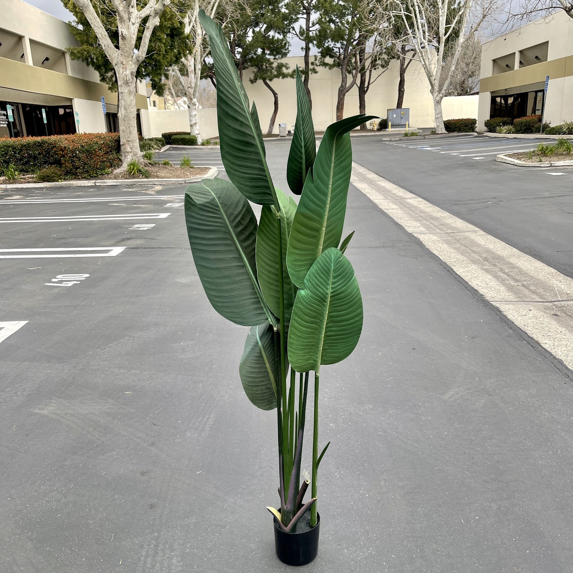 5 Foot Artificial Silk Bird of Paradise Palm Tree Potted Plant