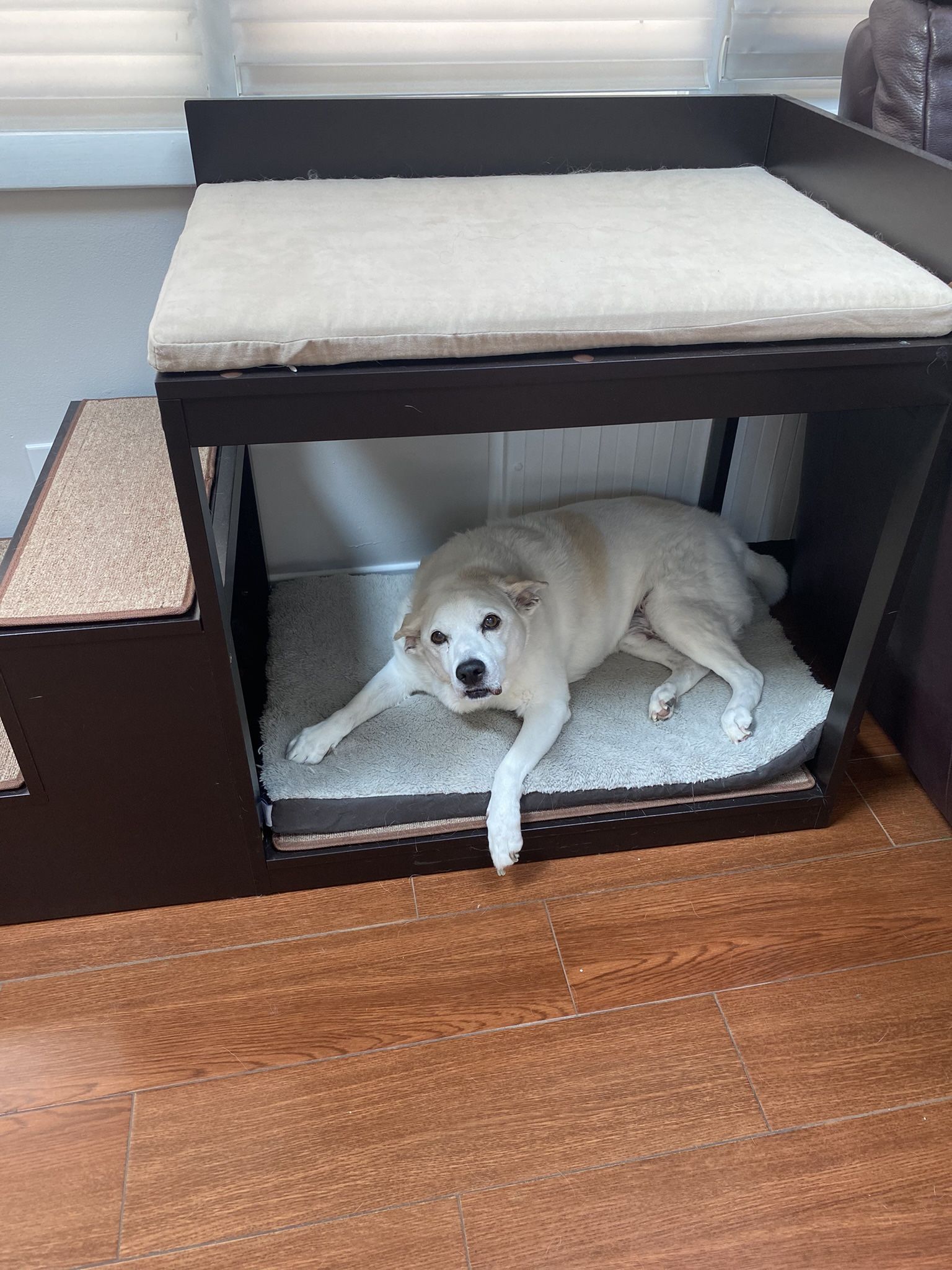 Dog Bed And Stairs