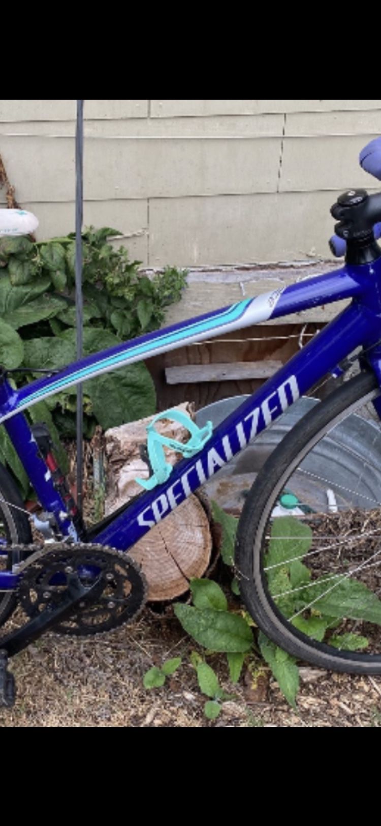 Specialized Dolce Road Bike 