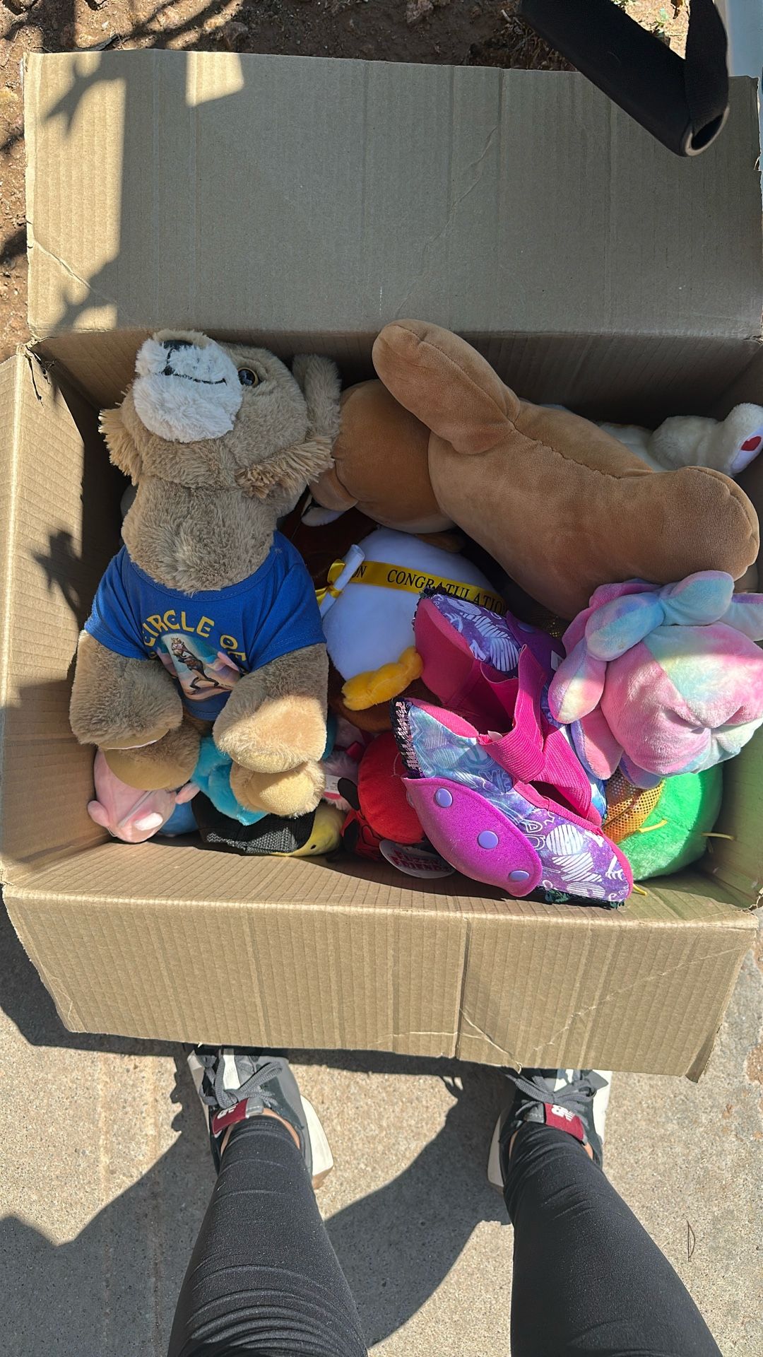 Stuffed Animals