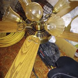 Ceiling Fans 