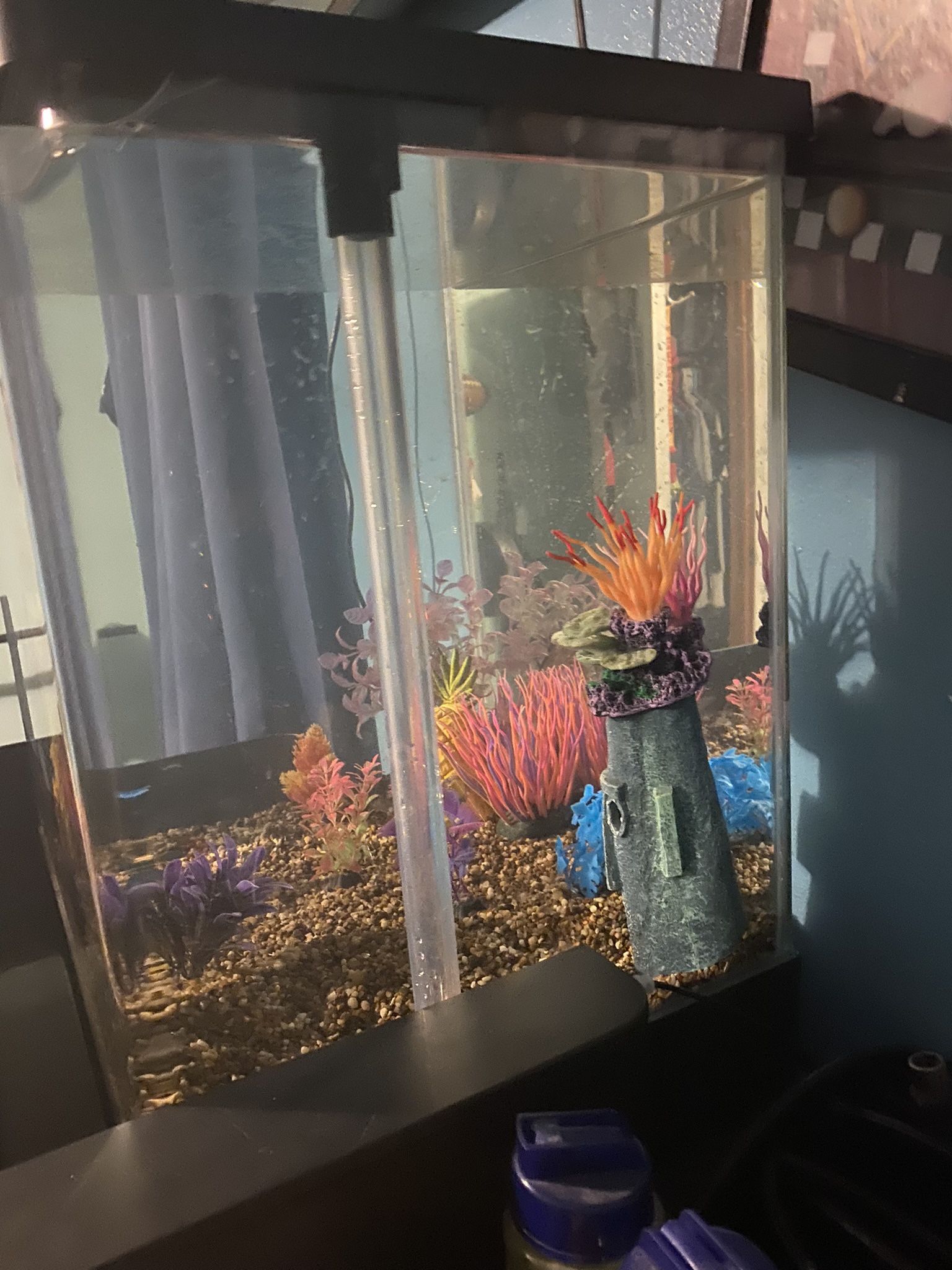 Fish tank