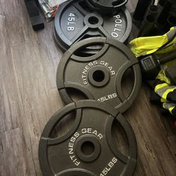 Olympic Weights Easy Grip Handles $75 EACH PAIR FIRM