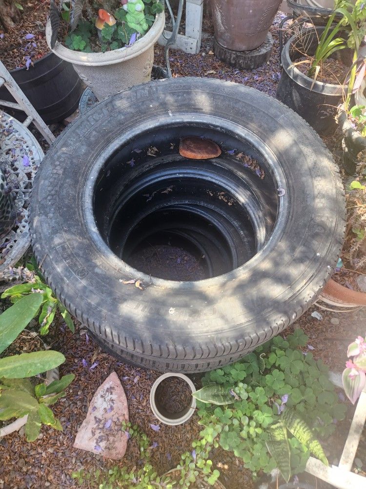 Michelin Tires