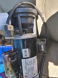 Water pump