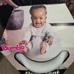 Brand New Sitting Chair