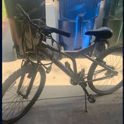 Kent Bike FLAT TIRES