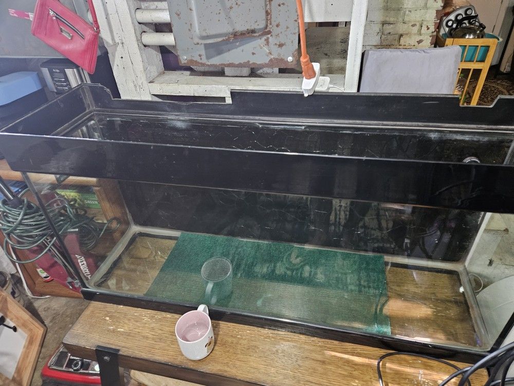 Lizard Cage