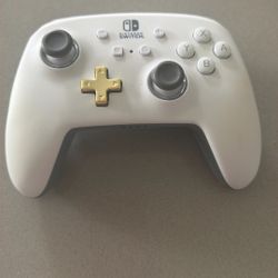 Nintendo Switch Controller 