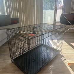 Pet Crate