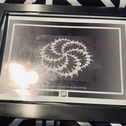 Crop Circle Photo With Wheatgrass Matted With Silver Frame!