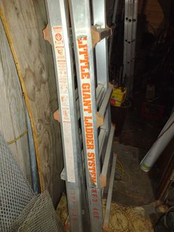 Little Giant Ladder System 