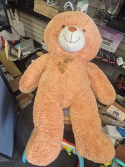 Big teddy bear $10