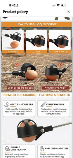 Extendable Chicken Egg Grabber