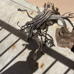 Drift Wood For Fish Tank
