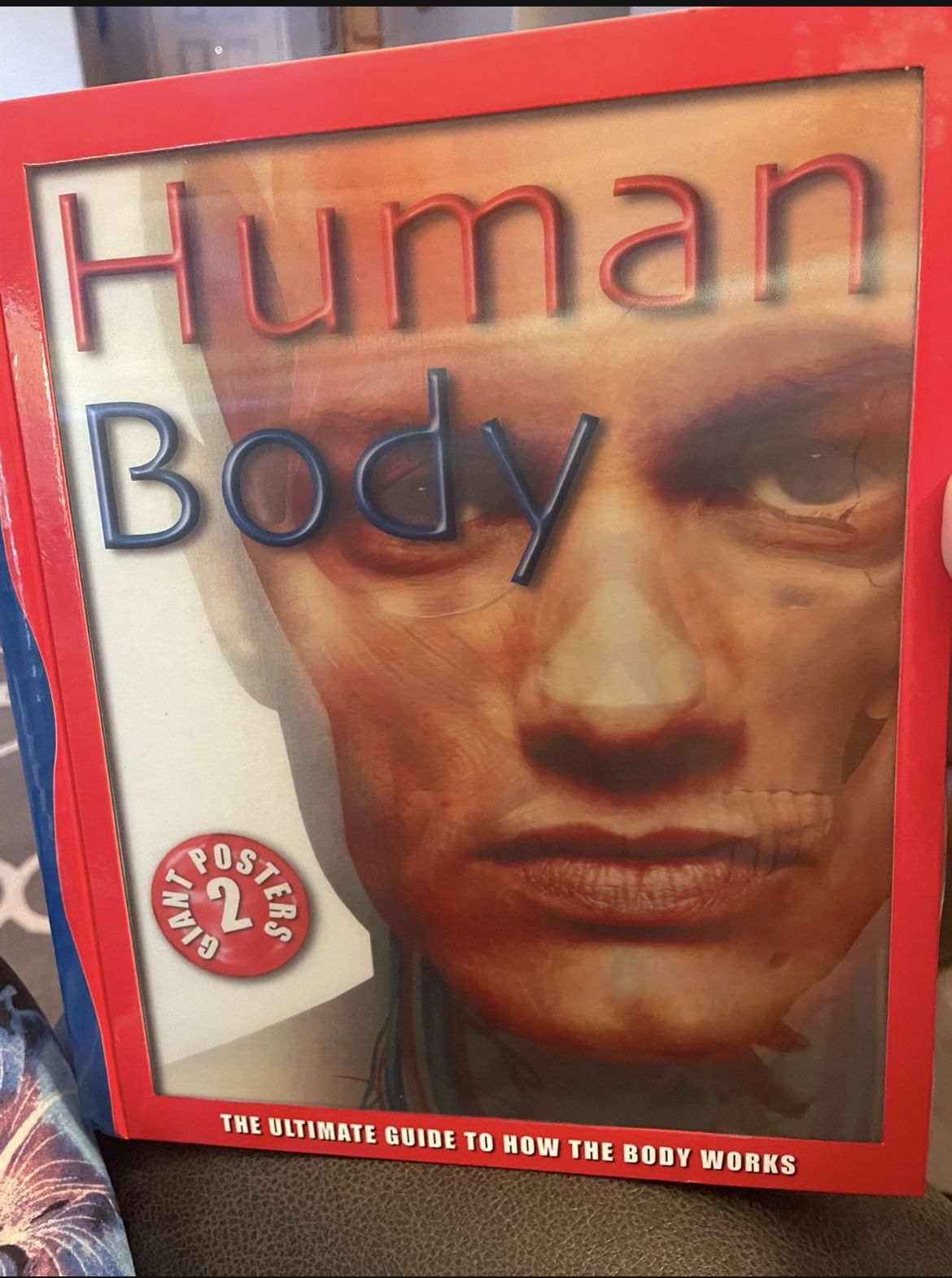 HUMAN BODY HARDCOVER BOOK