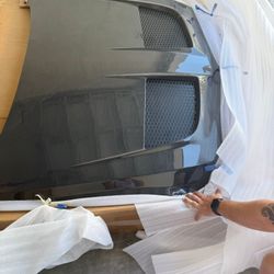Hood Gtd For Mustang Gt 2024