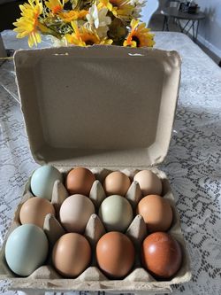 Fresh Farm Eggs 