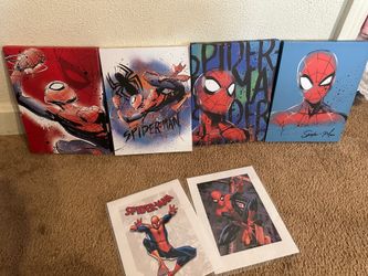 Spider-Man picture frames.