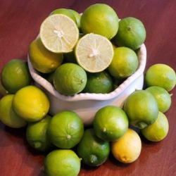 Limon Tequilero Key Limes 2lb Por $3