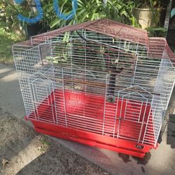 Bird Cages 