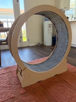 Large Wooden Cat Exercise Wheel