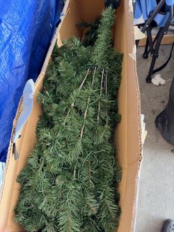 christmas tree