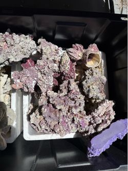 Dry rock for aquarium $1 a pound