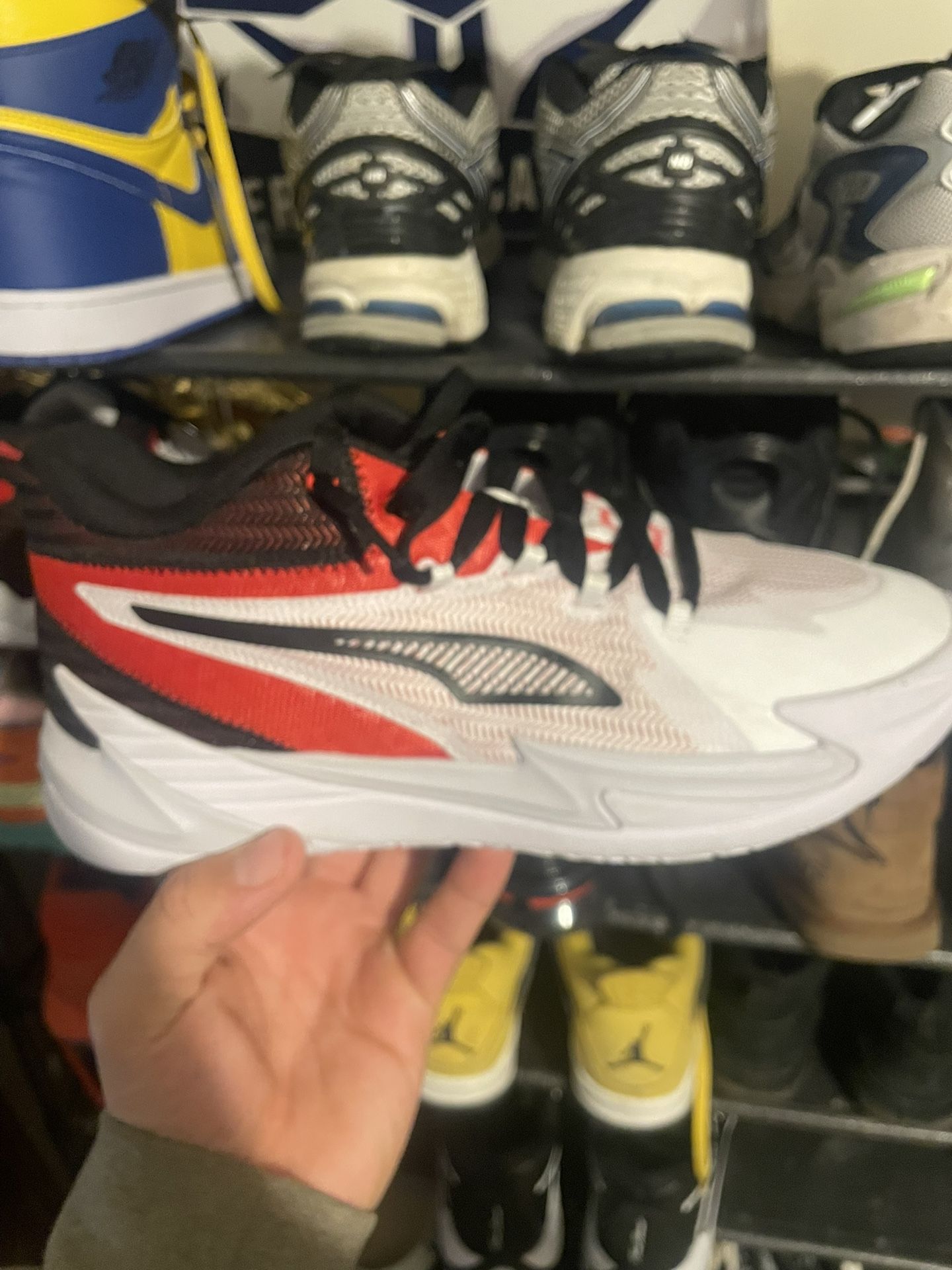 Puma Bites