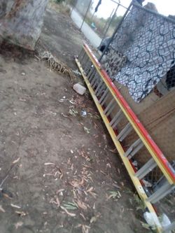Glidesafe ladder