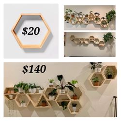 Plant Shelves