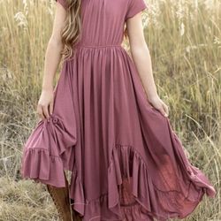 Joyfolie Braelyn Dress in Mesa Rose Size 5 