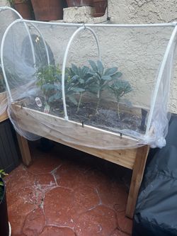 Self watering cedar plant beds