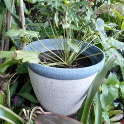 Beautiful Resin Planter Textured Finish 13 X11