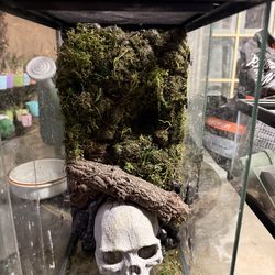 Tarantula or small reptile terrarium