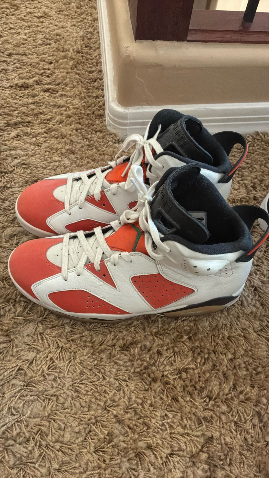 Jordan 10 Retro Gatorade